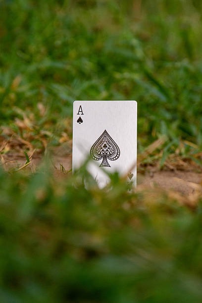 Le Differenze tra i Migliori Siti Poker Online Disponibili